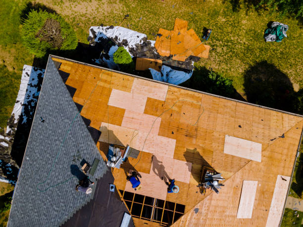 Quick and Trustworthy Emergency Roof Repair Services in Miami Shores, FL