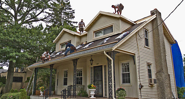 Best Gutter Installation and Roofing  in Miami Shores, FL